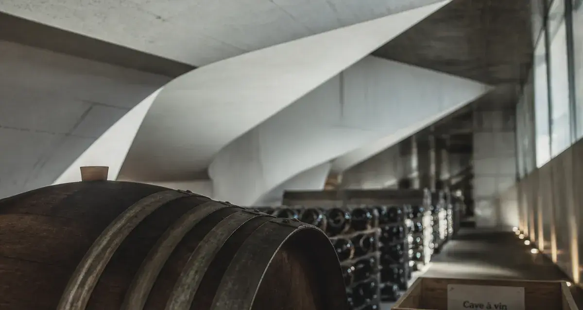 Bordeaux cave à vin : chai contemporain, barriques et bouteilles alignées